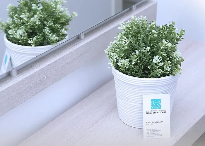 Piso Plaza Mercado 3,4